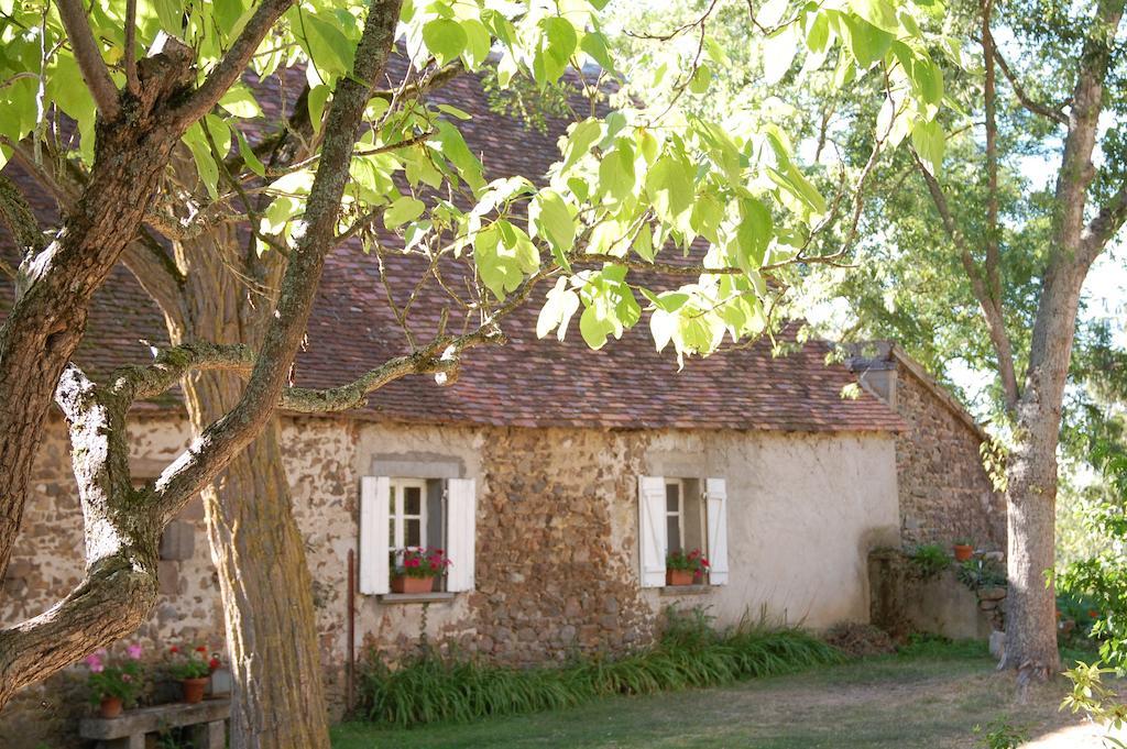 Le Mas D'En Haut Lussat Kamer foto