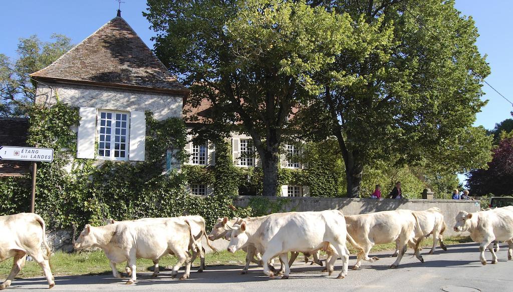 Le Mas D'En Haut Lussat Buitenkant foto